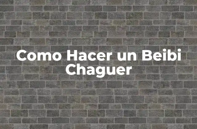 Como Hacer un Beibi Chaguer