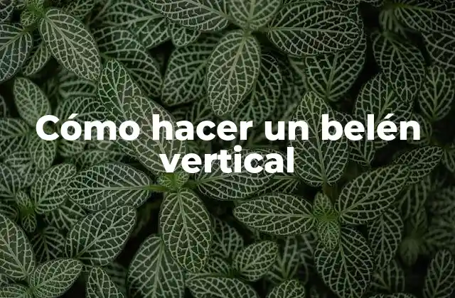 Cómo Hacer un Belén Vertical
