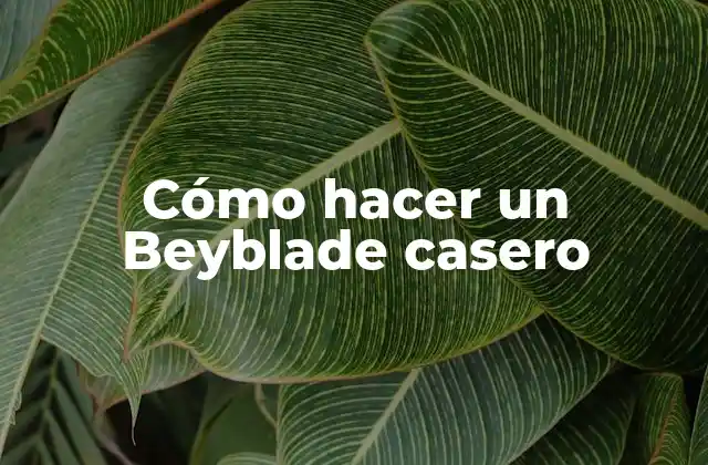Cómo Hacer un Beyblade Casero