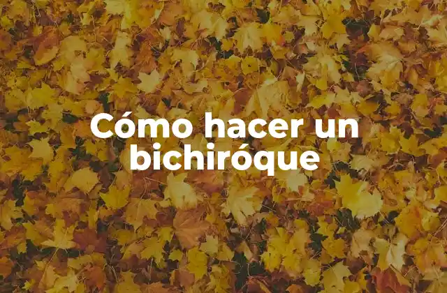 Cómo Hacer un Bichiróque
