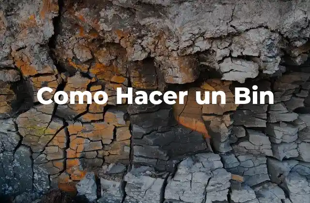 Como Hacer un Bin