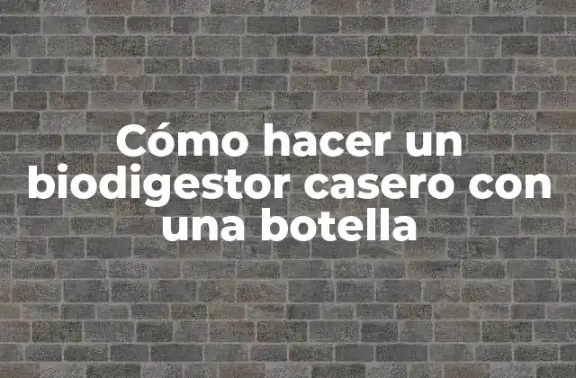 Cómo Hacer un Biodigestor Casero con una Botella
