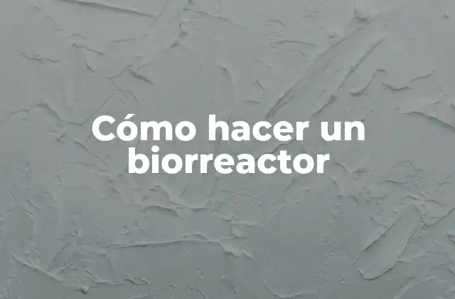 Cómo Hacer un Biorreactor