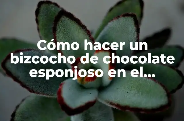 Cómo Hacer un Bizcocho de Chocolate Esponjoso en el Microondas