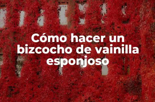 Cómo Hacer un Bizcocho de Vainilla Esponjoso