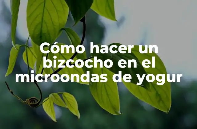 Cómo Hacer un Bizcocho en el Microondas de Yogur