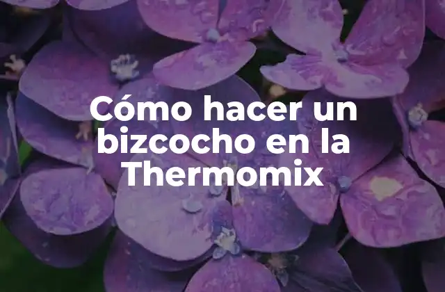 Cómo Hacer un Bizcocho en la Thermomix
