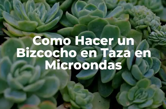 Como Hacer un Bizcocho en Taza en Microondas