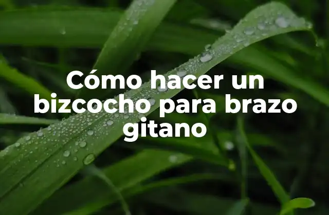 Cómo Hacer un Bizcocho para Brazo Gitano