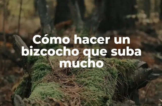Cómo Hacer un Bizcocho que Suba Mucho