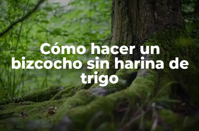 Cómo Hacer un Bizcocho sin Harina de Trigo