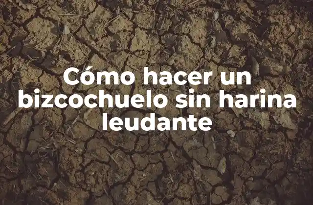 Cómo Hacer un Bizcochuelo sin Harina Leudante