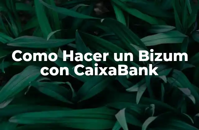 Como Hacer un Bizum con Caixabank