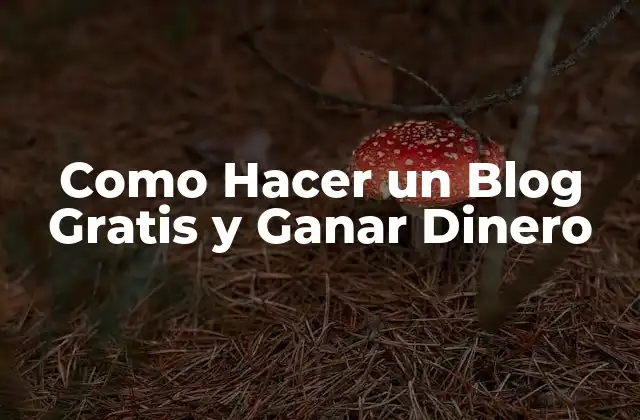 Como Hacer un Blog Gratis y Ganar Dinero