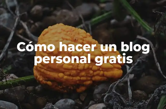 Cómo Hacer un Blog Personal Gratis