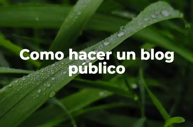 Como Hacer un Blog Público