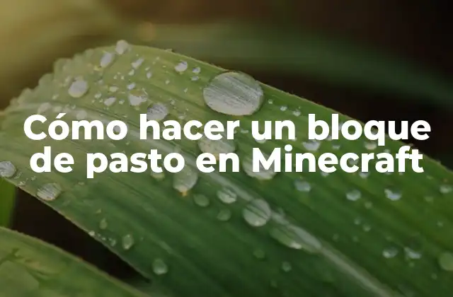 Cómo Hacer un Bloque de Pasto en Minecraft