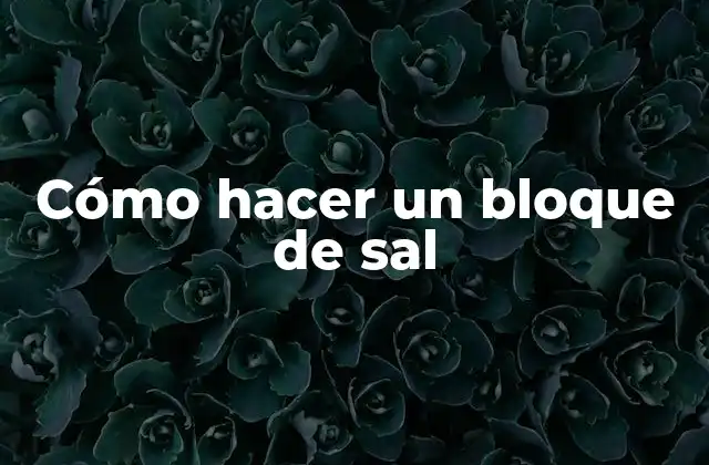 Cómo Hacer un Bloque de Sal 2 Cómo hacer un bloque de sal