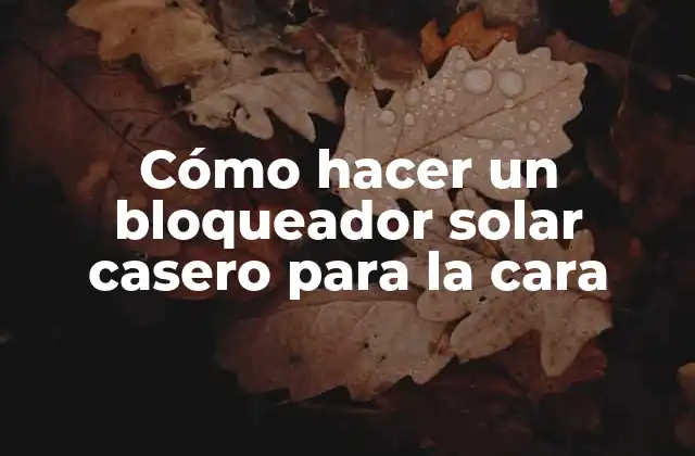 Cómo Hacer un Bloqueador Solar Casero para la Cara