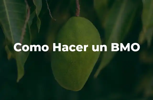 Como Hacer un Bmo