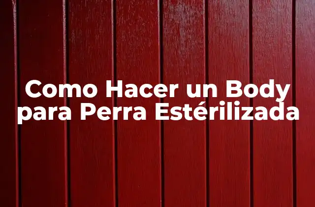 Como Hacer un Body para Perra Estérilizada