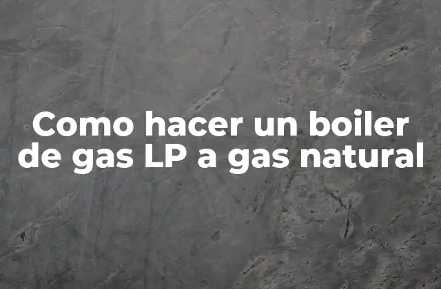 Como Hacer un Boiler de Gas Lp a Gas Natural