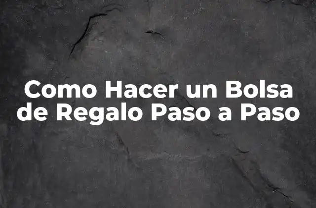 Como Hacer un Bolsa de Regalo Paso a Paso