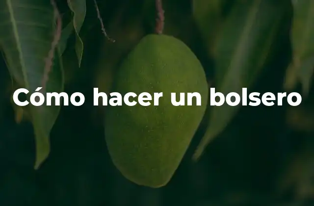 Cómo Hacer un Bolsero