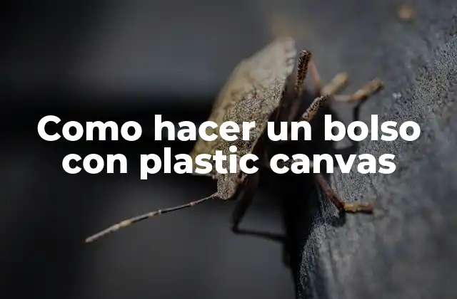 Como Hacer un Bolso con Plastic Canvas