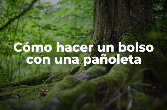 Cómo Hacer un Bolso con una Pañoleta