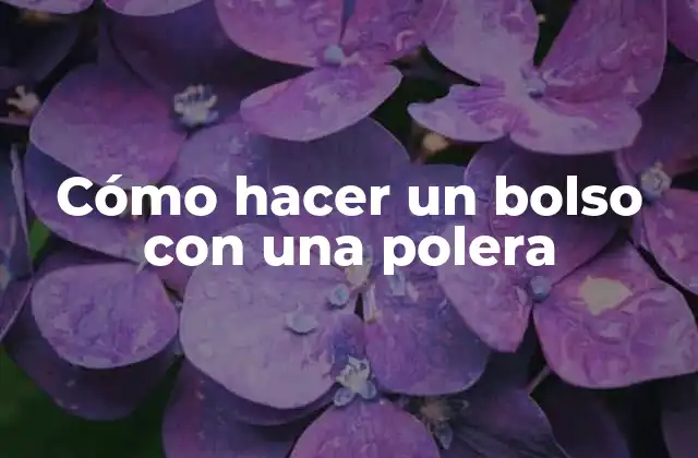 Cómo Hacer un Bolso con una Polera