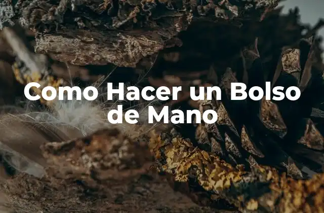 Como Hacer un Bolso de Mano