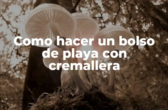Como Hacer un Bolso de Playa con Cremallera