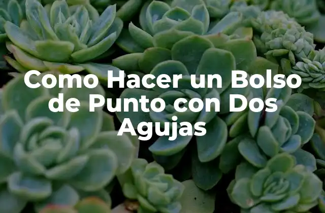 Como Hacer un Bolso de Punto con Dos Agujas