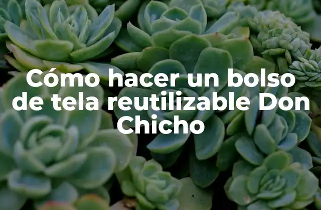 Cómo Hacer un Bolso de Tela Reutilizable Don Chicho