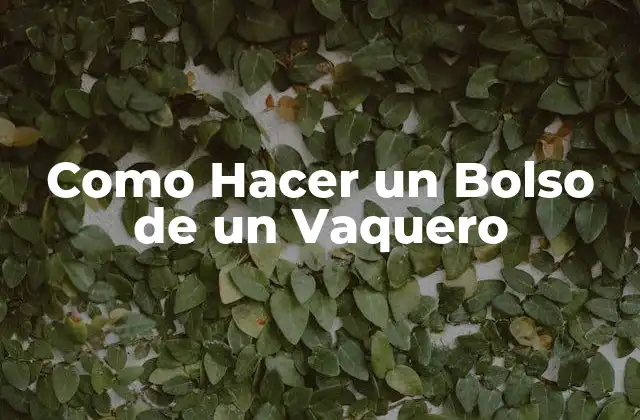 Como Hacer un Bolso de un Vaquero