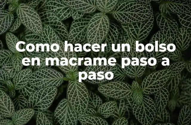 Como Hacer un Bolso en Macrame Paso a Paso