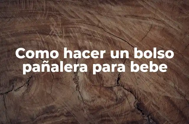 Como Hacer un Bolso Pañalera para Bebe