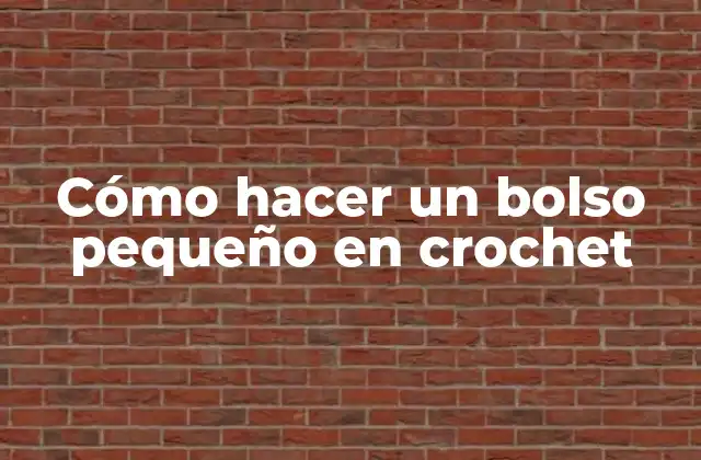 Cómo Hacer un Bolso Pequeño en Crochet