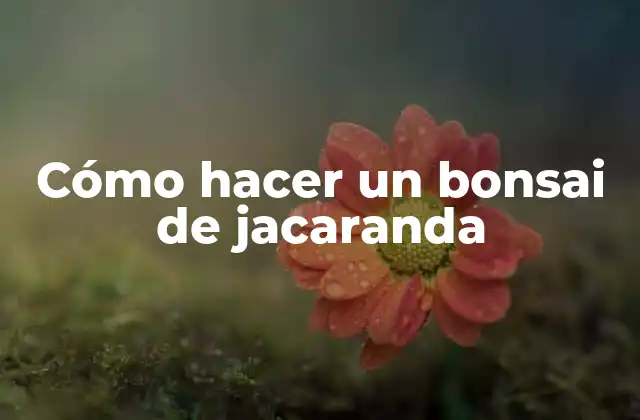 Cómo hacer un bonsai de jacaranda