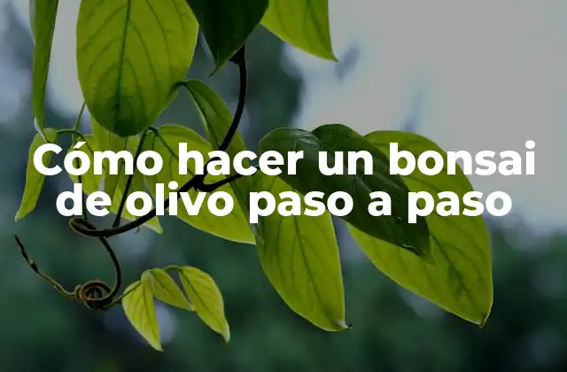 Cómo Hacer un Bonsai de Olivo Paso a Paso