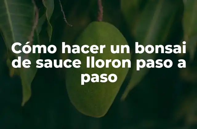 Cómo Hacer un Bonsai de Sauce Lloron Paso a Paso