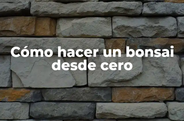 Cómo Hacer un Bonsai desde Cero