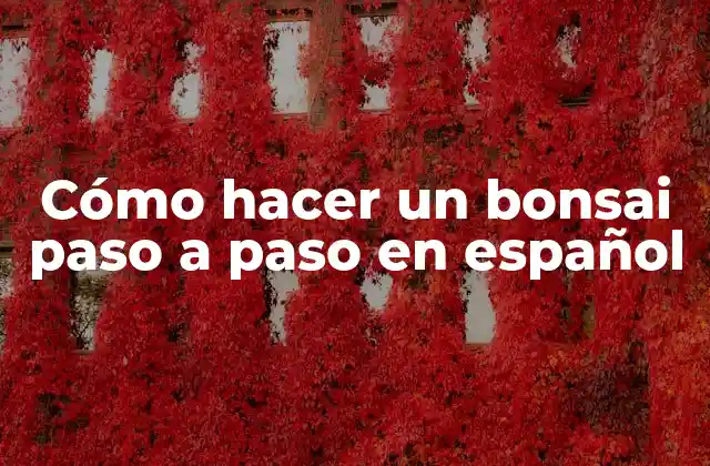 Cómo Hacer un Bonsai Paso a Paso en Español