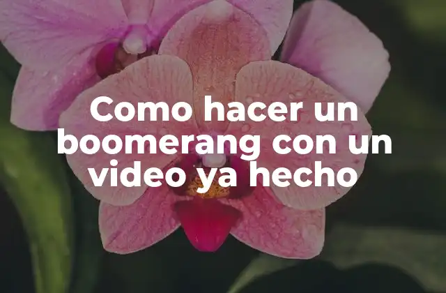 Como Hacer un Boomerang con un Video Ya Hecho