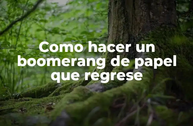 Como Hacer un Boomerang de Papel que Regrese