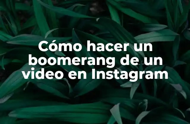Cómo Hacer un Boomerang de un Video en Instagram