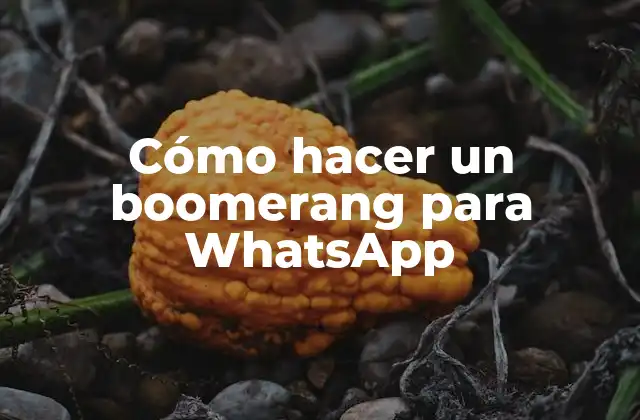 Cómo Hacer un Boomerang para Whatsapp