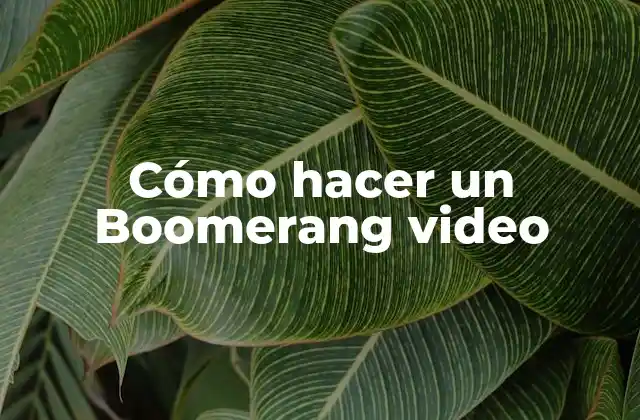 ¿Qué es un Boomerang video?