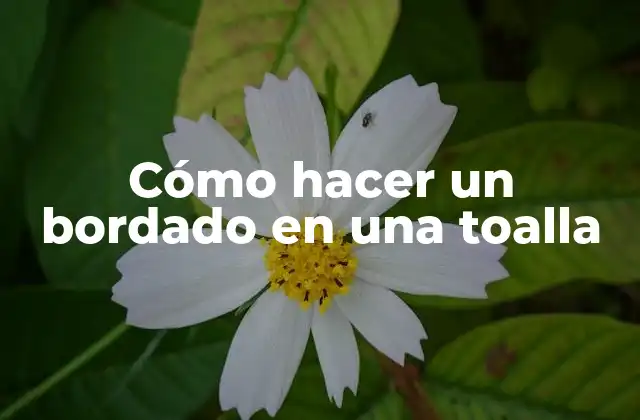 Cómo Hacer un Bordado en una Toalla